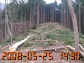 第４期伐採地、最高地点方向（標高約５００ｍ）(2008/05/25 14:30)
